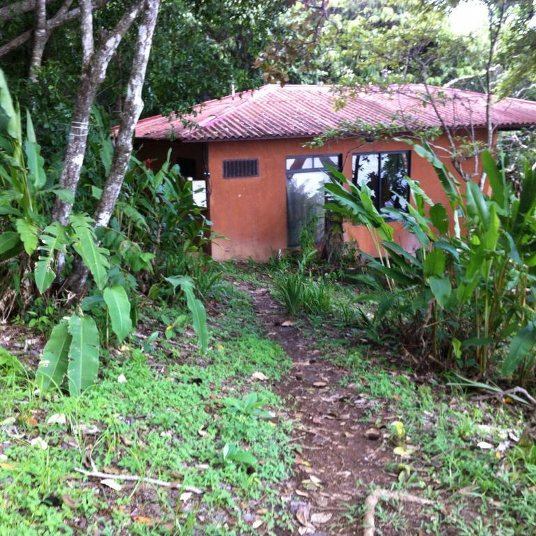 Howlers Bay Hotel Boca Chica Kültér fotó